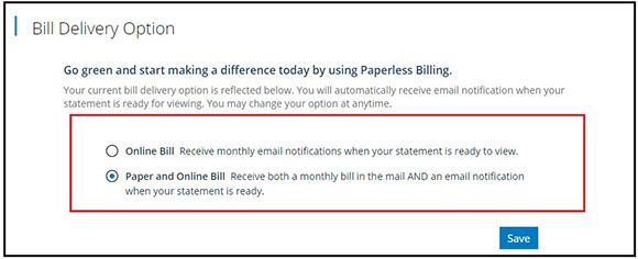 Bill Delivery Options