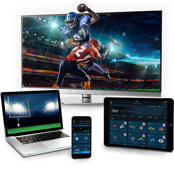 2017 NFL Season