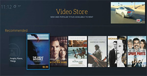 Video Store